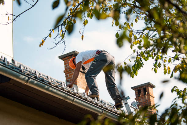 Best Best Roofing Contractors  in Ault, CO